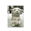 Little Dog
