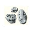 Lizards AG - 128