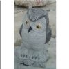 NC0008 Night owl