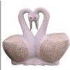 NC0012 Swans