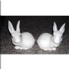 NC0014 Twin rabbits