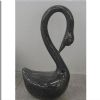 NC0021 Black Swan
