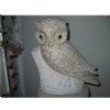 Owl, polished