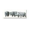 Rhinos AG - 108
