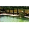 Bassins and Swimming Pools