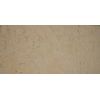 Beige Fossil limestone Honed
