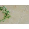 Beige Marble Collection