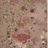 Brecha Arrabida  Limestone