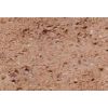 Brown Limestone