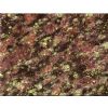 Forest Green Counter Top