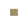 Kashmir Gold Counter Top