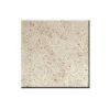 Kashmir White Counter Top