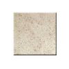 Kashmir White Counter Top