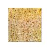 Kashmir White Counter Top