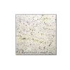 Kashmir White Counter Top