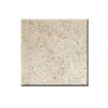 Kashmir White Counter Top