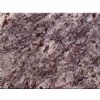 Lavender Blue Counter Top