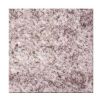 Madanapally White Counter Top
