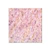 Ocean White Counter Top