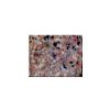 Queen Rose Counter Top