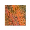 Red Multicolor Counter Top