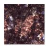 Sapphire Brown Counter Top