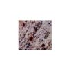 Shivagold Counter Top