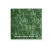 Tropical Green Counter Top