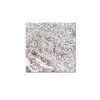 Viscon White Counter Top