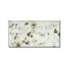 White Galaxy Counter Top
