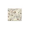 White Galaxy Counter Top
