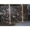 Dark Emperador White Pearl