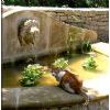 Fountain