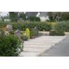 Gardening and landscaping