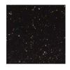 Black Galaxy - Medium Gold
