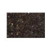 Black Galaxy