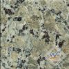 Butterfly Beige