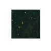 Green Galaxy