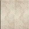 Kashmir White