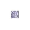Lavender Blue