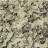 Mudugal Grey