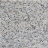 N008-1 Milky Way Granite