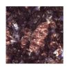Sapphire Brown