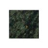 Seaweed Green