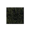 Seaweed Green