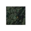 Seaweed Green