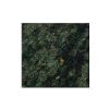 Seaweed Green