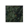 Seaweed Green