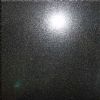 Shanxi Black