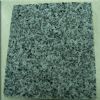 Xiamen Grey